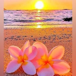 Meet your Posher, balber